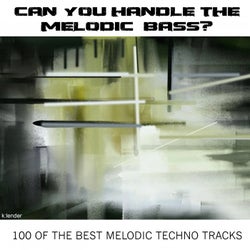 Can You Handle the Melodic Bass? 100 of the Best Melodic Techno Tracks