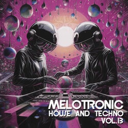 Melotronic, Vol. 13 (House and Techno)