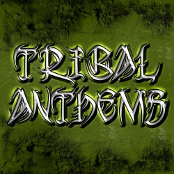 Tribal Anthems (The Best House Music Tribal Anthems)