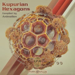 Kupurian Hexagons