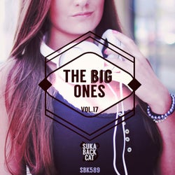 The Big Ones, Vol. 17