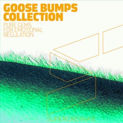 Goose Bumps Collection