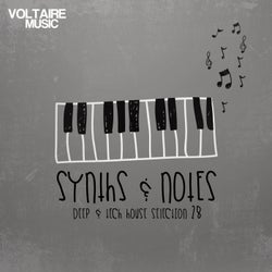 Synths And Notes 28