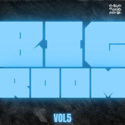 Big Room, Vol.5