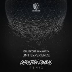 DMT Experience (Christian Cambas Remix)