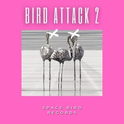 Bird Attack 2