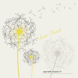 Soar Forth, Vol. 17