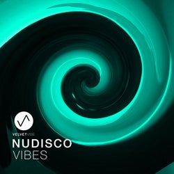 Nudisco Vibes, Vol. 2