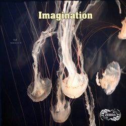 Imagination