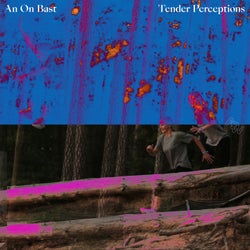 Tender Perceptions