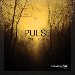 Pulse