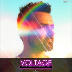 Voltage