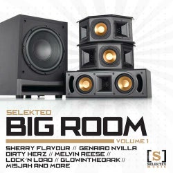 Selekted Big Room Vol. 1