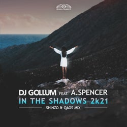 In the Shadows 2k21 (Shinzo x Qaos Extended Mix)