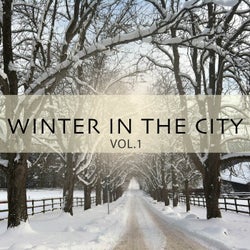 Winter in the City, Vol. 1 (Jazz Flavored Chill out Tunes)