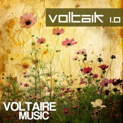 Voltaik 1.0