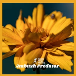 Ambush Predator