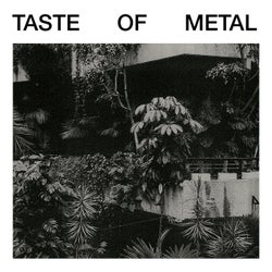 Taste Of Metal