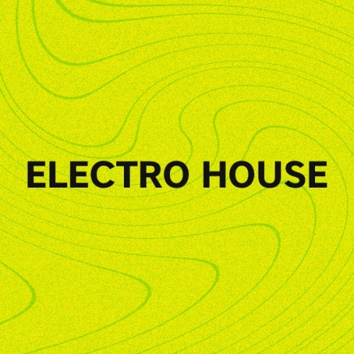 Must Hear Electro House: January