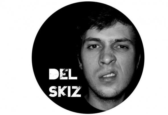 Delskiz