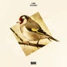 Goldfinch