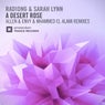 A Desert Rose (The Remixes)