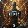 Voices (Extended Mix)