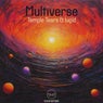 Multiverse