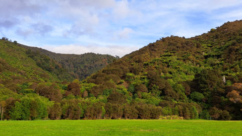 Remutaka Foothills in Wainuiomata