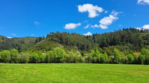 Richard Prouse Park View