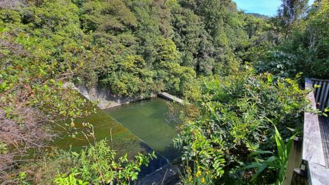 Lower Dam Spillway Lookout