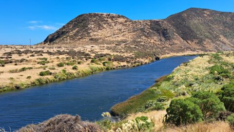 Wainuiomata River