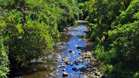 Wainuiomata River at Hine Road Recreation Area