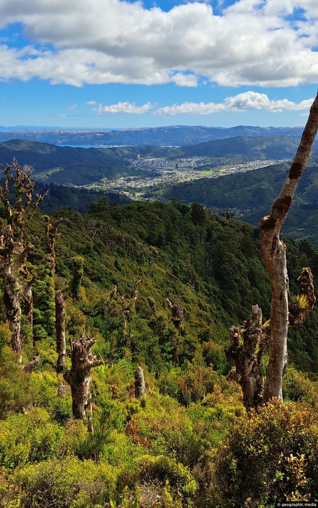 View of Wainuiomata from the Remutaka Range