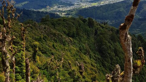 View of Wainuiomata from the Remutaka Range