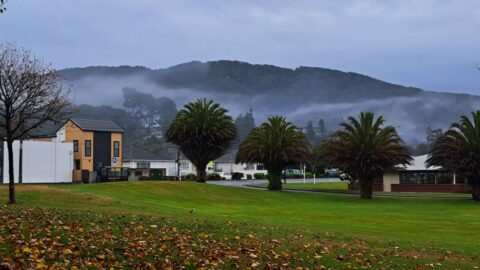 Queen Street Reserve in Fall