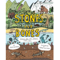 Stones and Bones