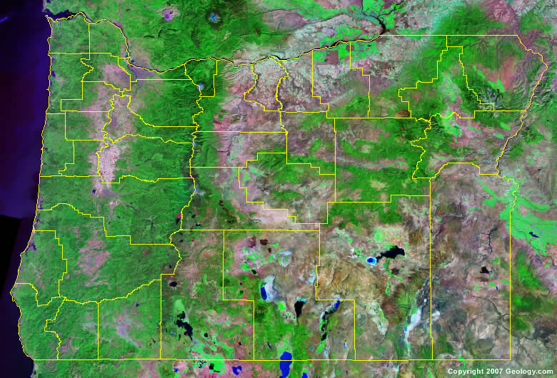 Oregon County Map