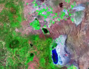 Oregon Satellite Image