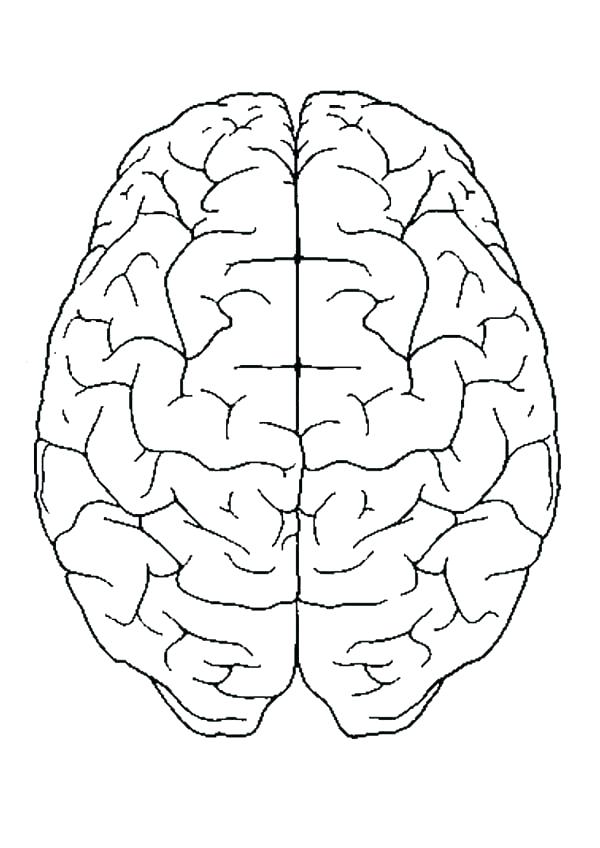 Parts Of Brain Coloring Page Coloring Pages