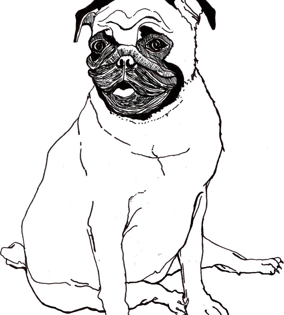 Cute Pug Coloring Pages at GetColorings.com | Free printable colorings ...