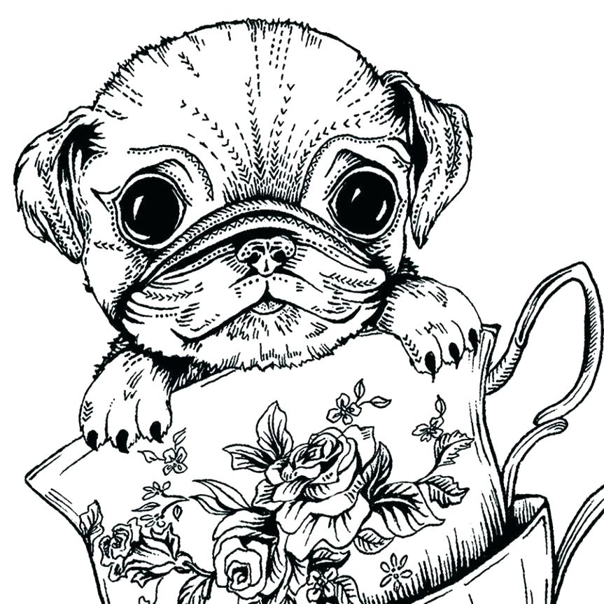 Pug Puppies Coloring Cute Coloring Pages