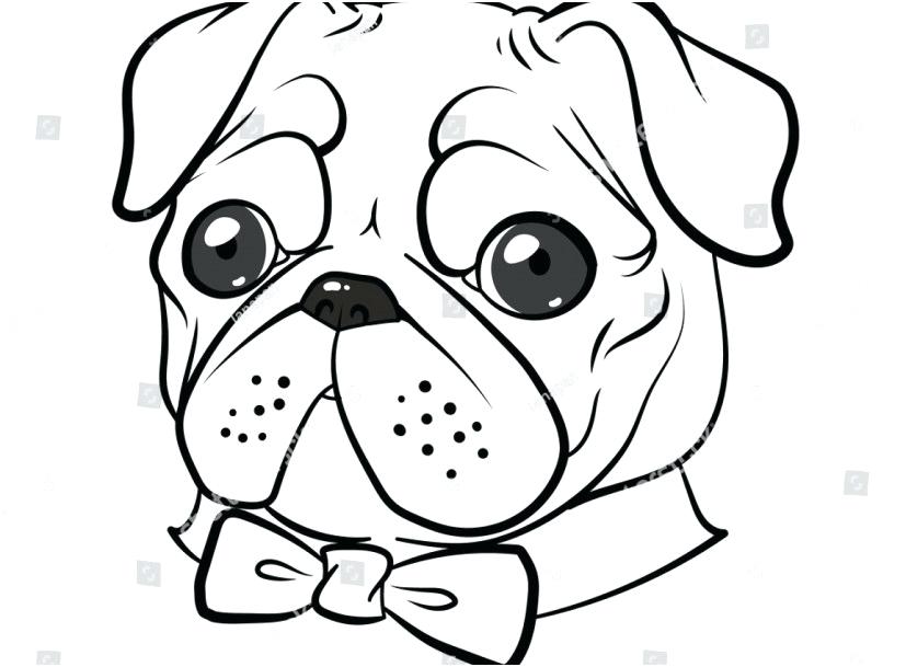 Pug Puppies Coloring Cute Coloring Pages