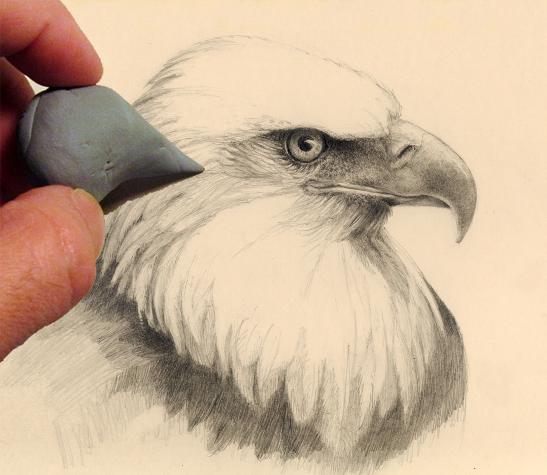 Draw An Eagle Head