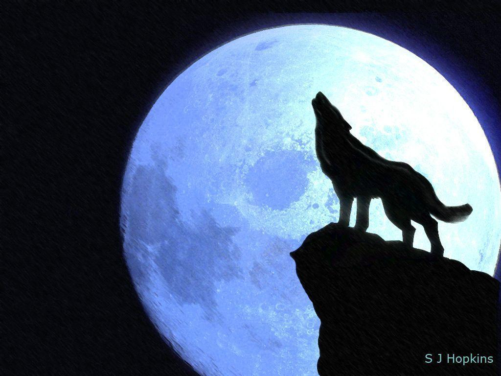 Wolf Howling At Moon Drawing at GetDrawings | Free download