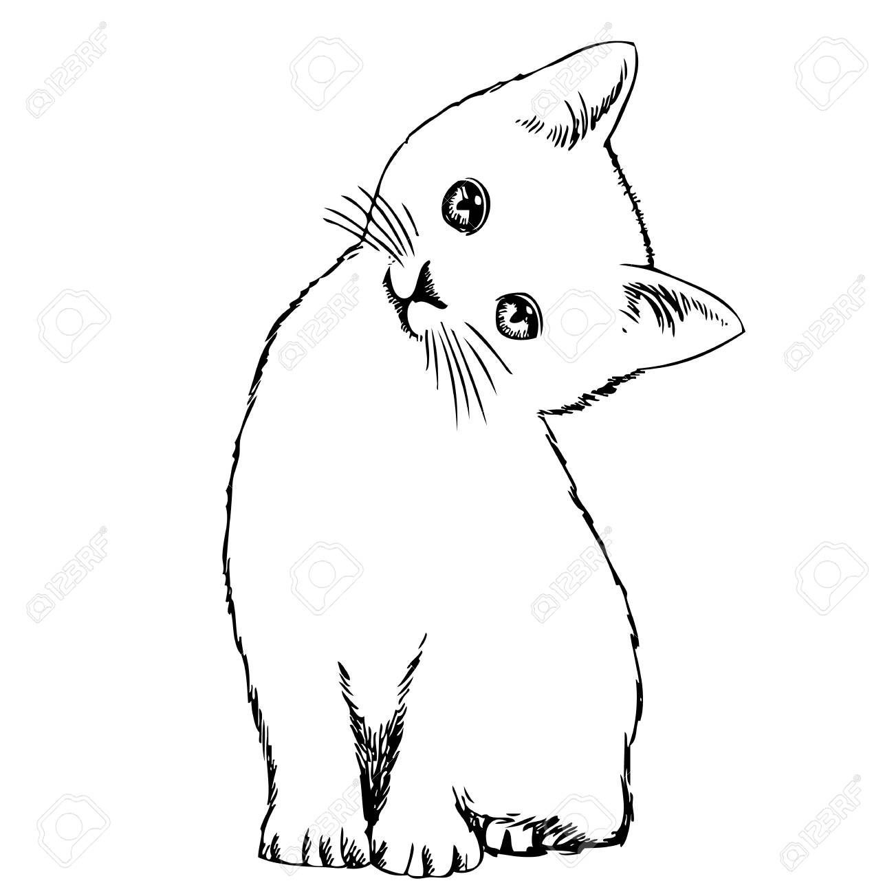 Cat Drawing Outline at GetDrawings | Free download