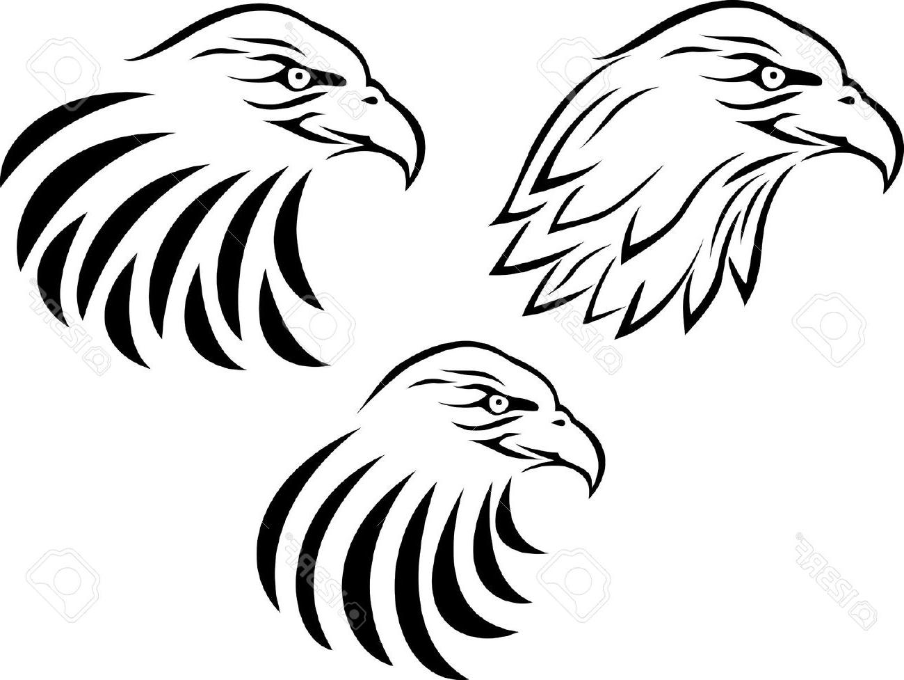 Eagle And Flag Drawing at GetDrawings | Free download