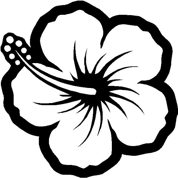 Hibiscus Flower Drawing at GetDrawings | Free download