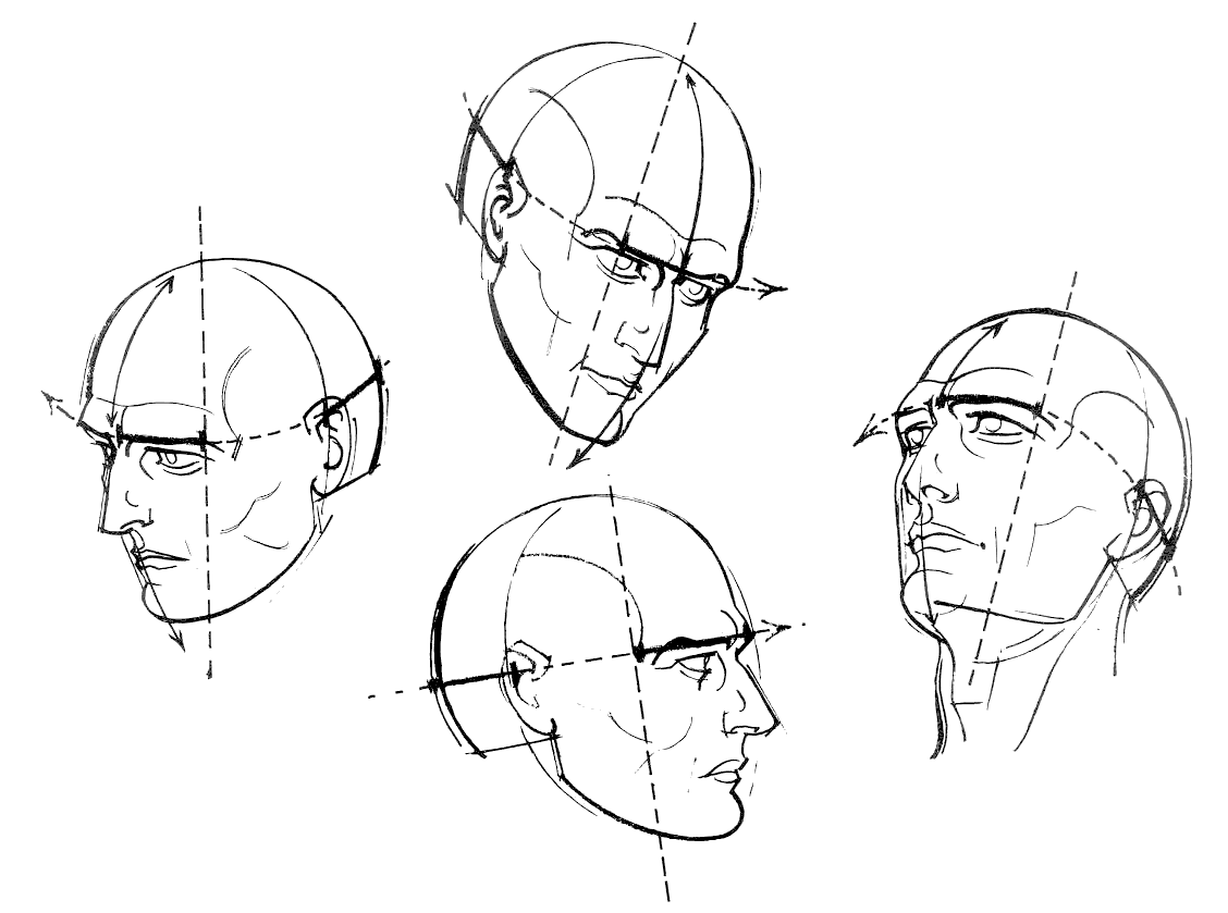 Human Head Drawing at GetDrawings | Free download