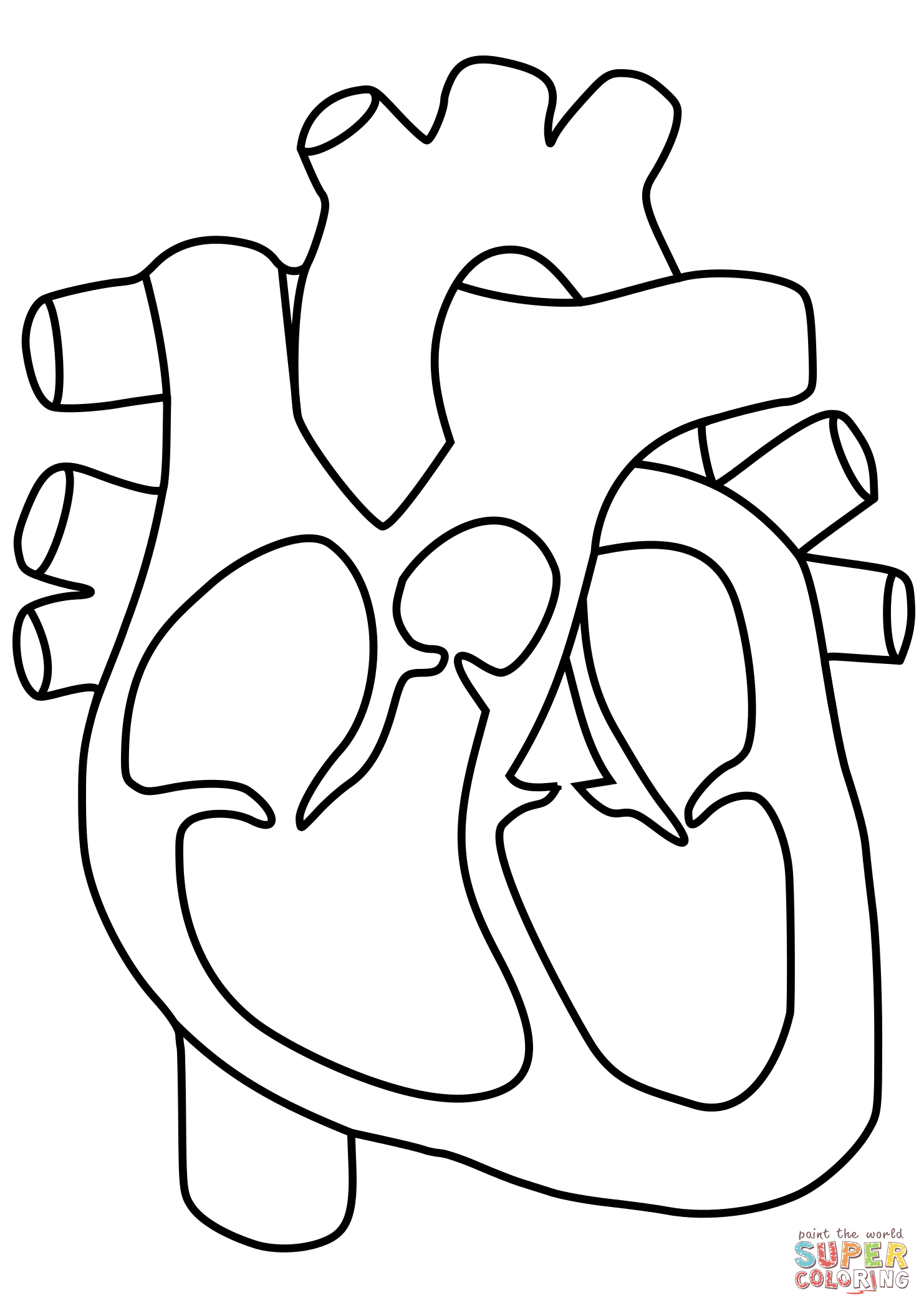 Human Heart Line Drawing at GetDrawings | Free download